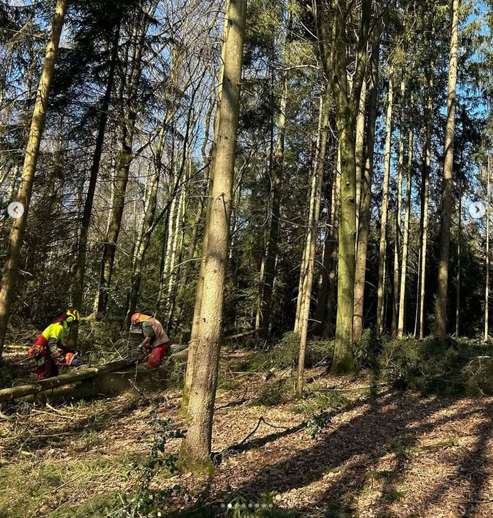 A. Nöckel – Forstarbeiten im Einsatz, Nümbrecht