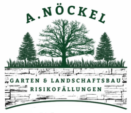 Alexander Nöckel